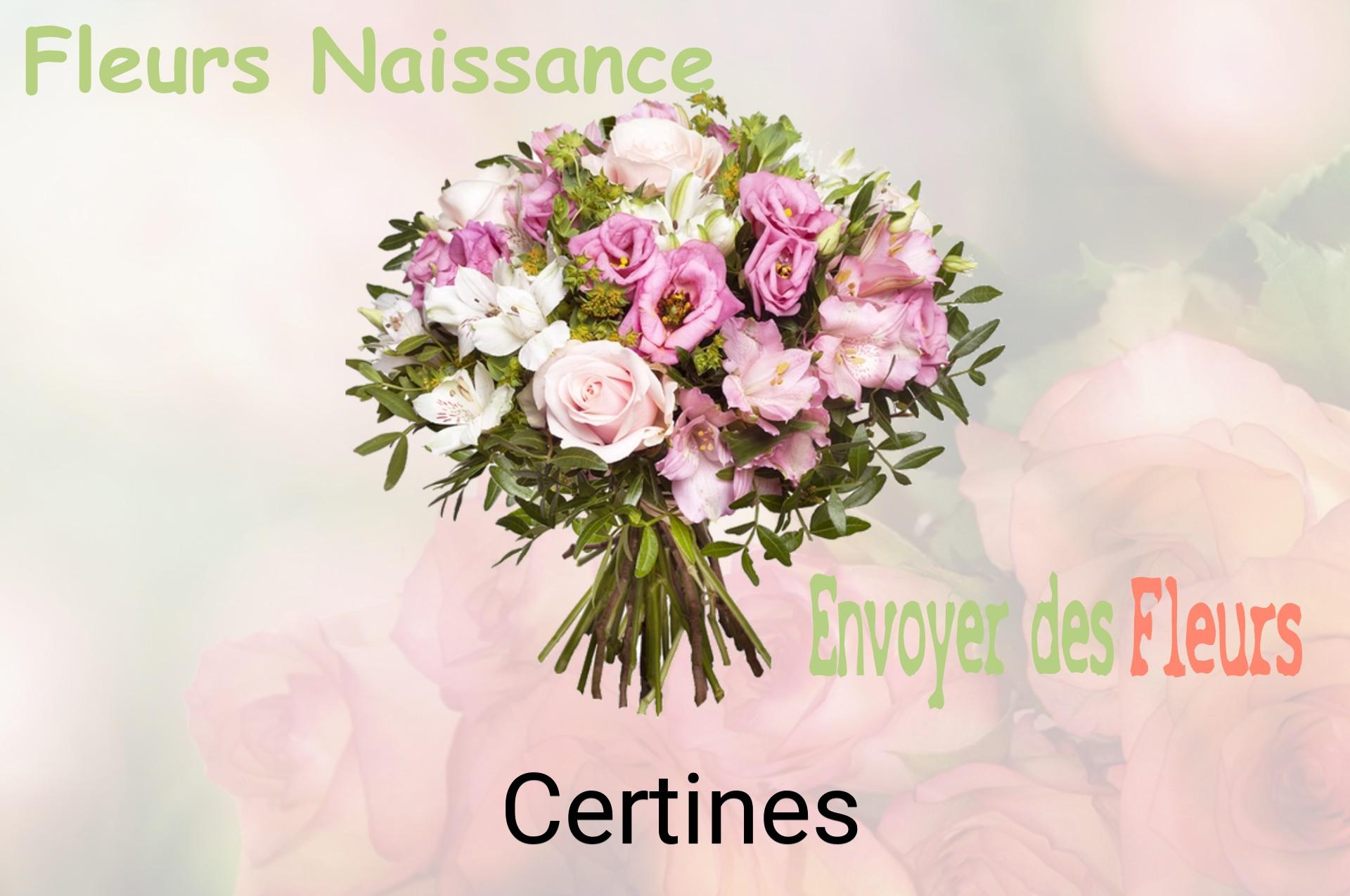 Bouquet de fleurs de naissance livré à Certines